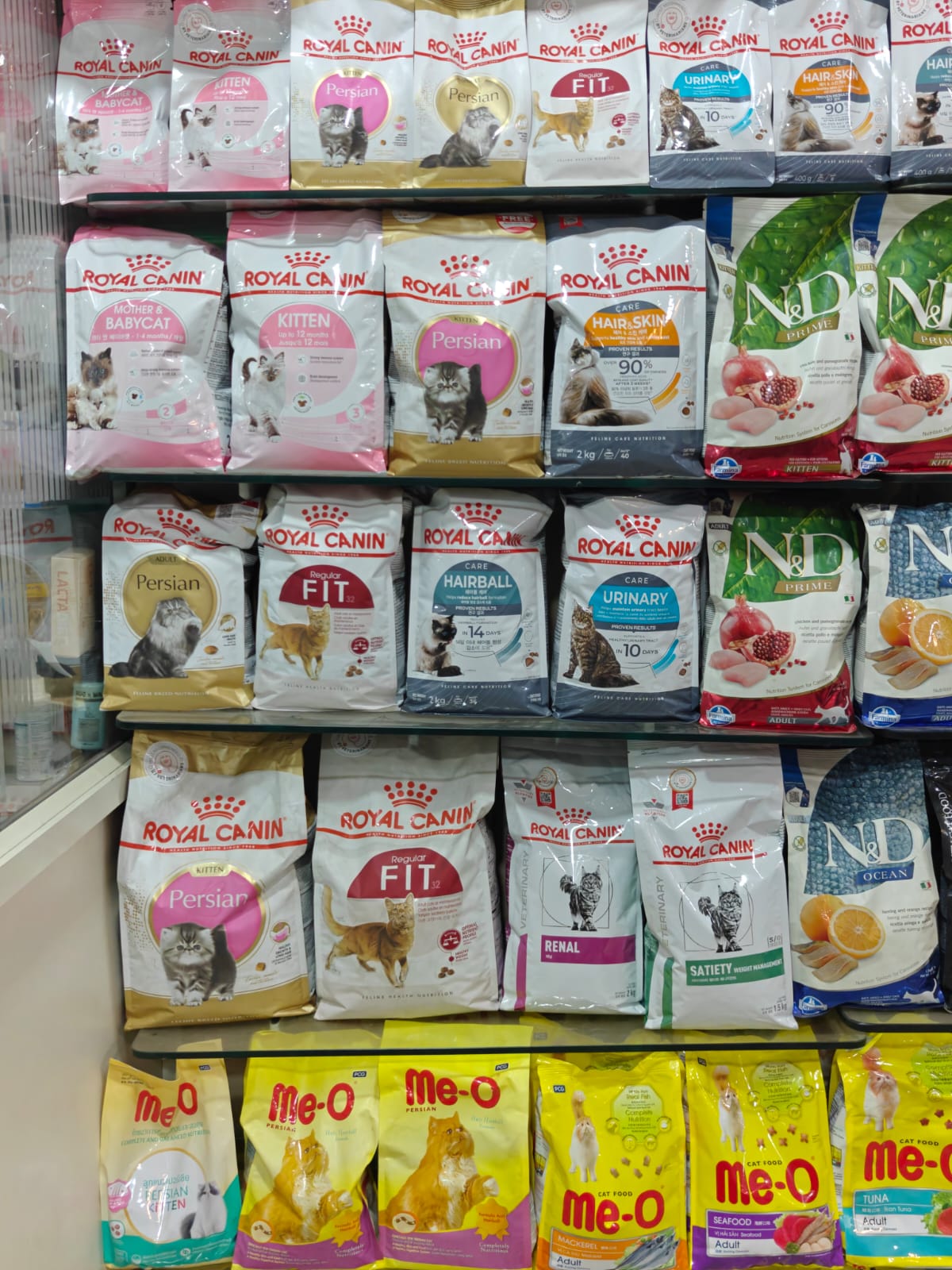 Pet care at Sarvadnya Pet Care Unit, Pimpri-Chinchwad